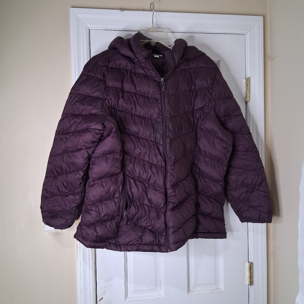 Purple Puffer Jacket By Catherine Club